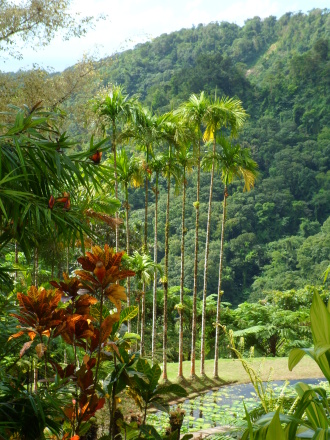 zahrada Balata Garden, Martinik