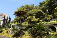jeden z mnoha parků ve Funchalu