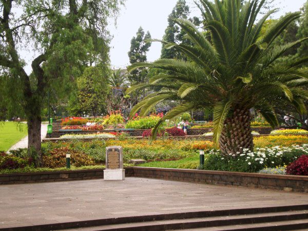 Foto 01 - MADEIRA - městský park ve Funchalu 1