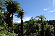 Waimangu Volcanic Valley