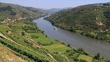 Douro - vinice nad řekou
